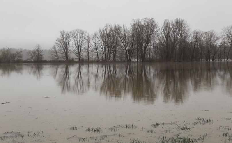 05-01-23 Flooding W Side S flooded field reflection