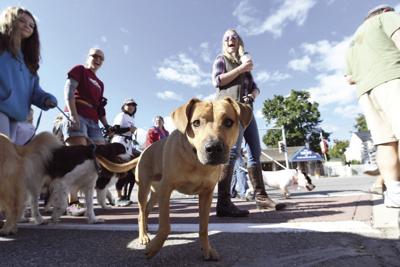 Bark in the Park - September 23rd - Mount Washington Valley NH Events
