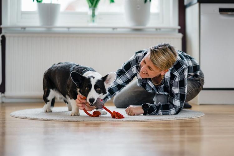 Dog owners who spend longer playing create stronger bond with their pet