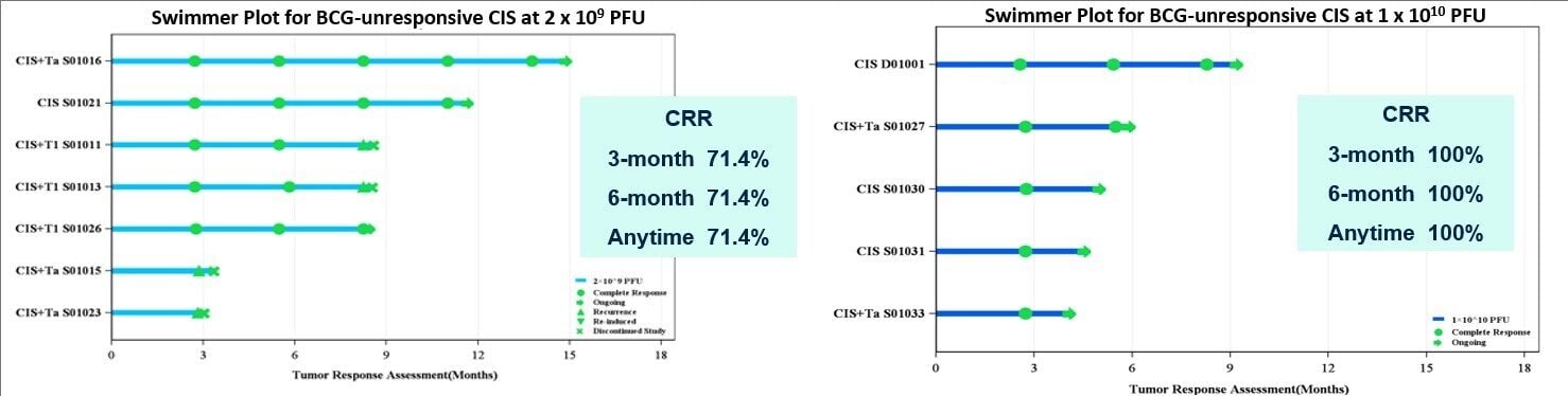 High Response in Bladder Cancer: Immvira Announced Its MVR-T3011 Latest Clinical Results in BCG-Unresponsive Bladder Cancer Patients at 2025 Annual Meeting of the Society of Urologic Oncology