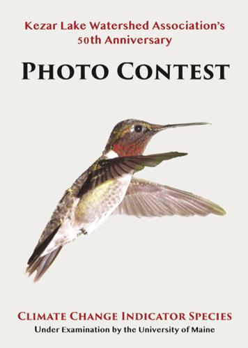 Kezar Lake Watershed Association photo contest
