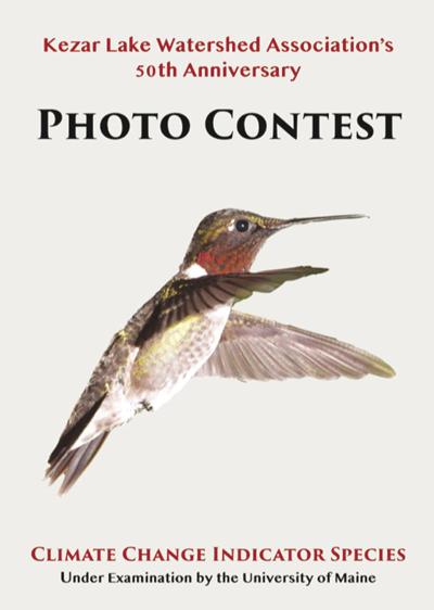 Kezar Lake Watershed Association photo contest