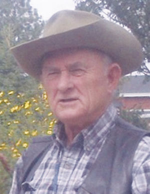 3-26-19 Webster Fox.jpg