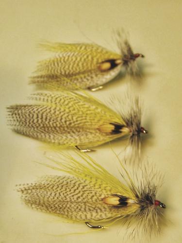 flies