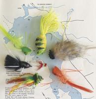 North Country Angling: July 4 week best bets