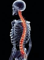 Shellie Sakash: The importance of a supple spine