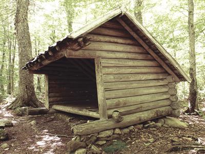 langdon shelter color