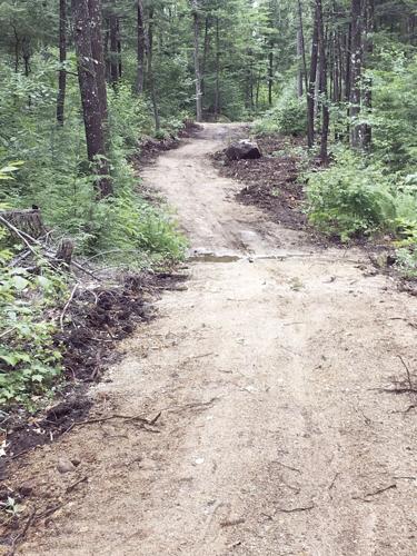 Lucille's new connection