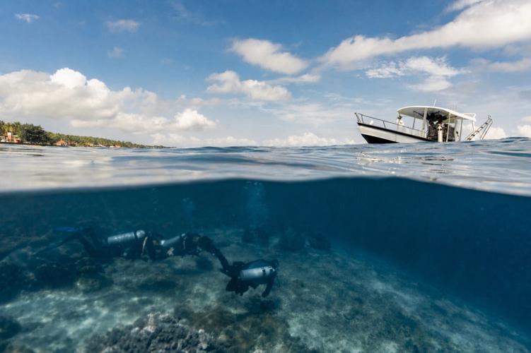 Scuba-diving tourists are destroying coral reefs they want to conserve