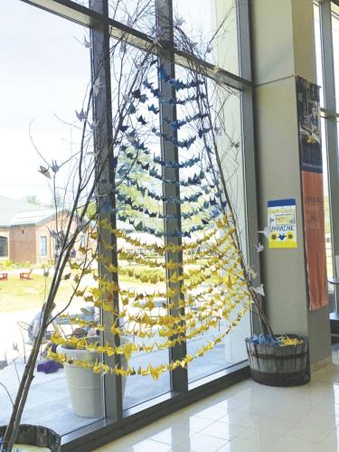 The Peace Crane Project