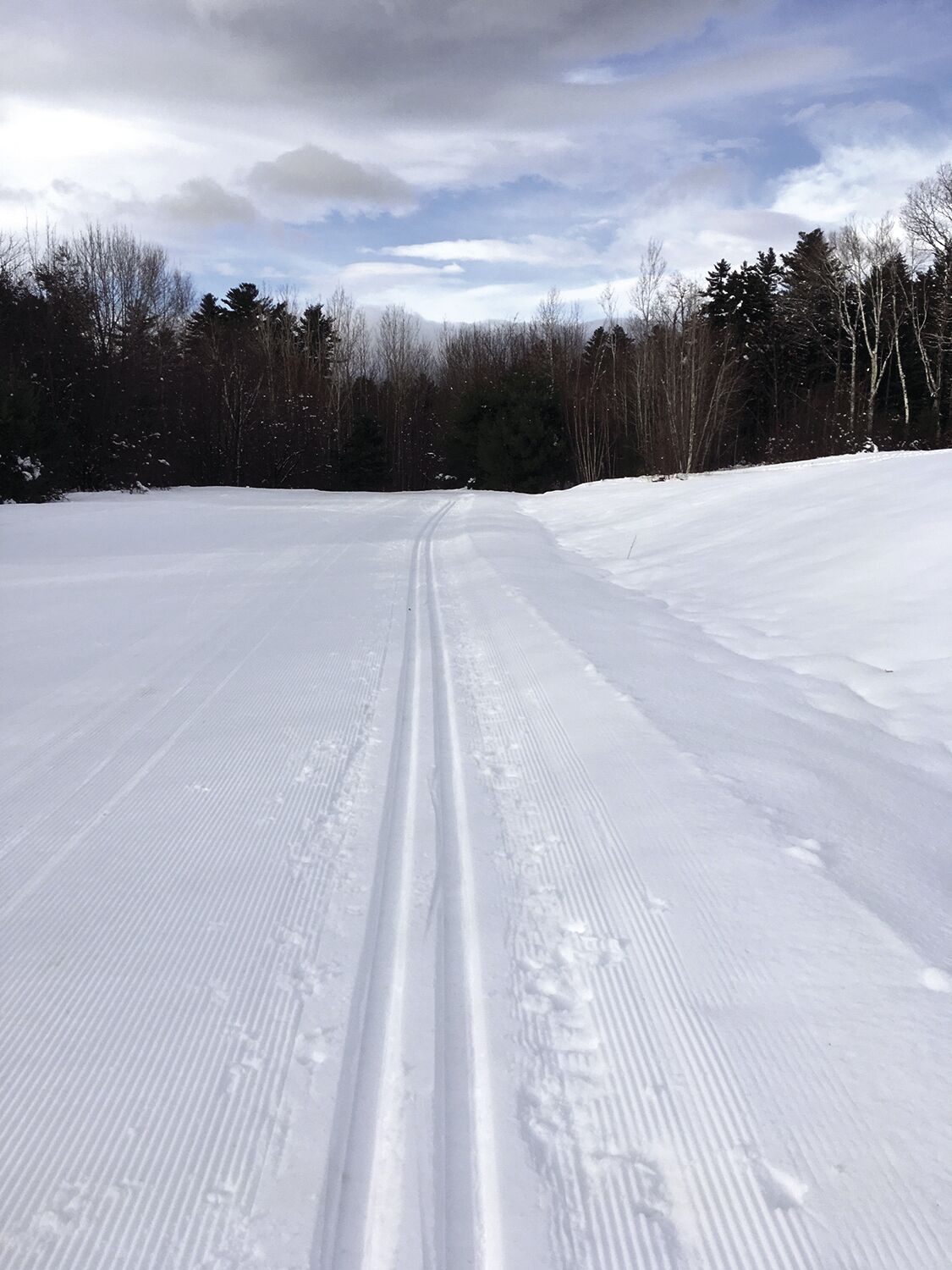 Nordic Tracks - perfect conditions