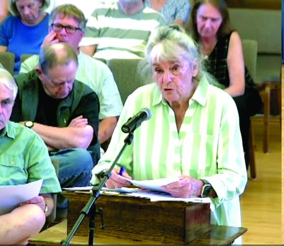 2026-08-07-Libby Museum hearing - Suzzane Ryan.jpg