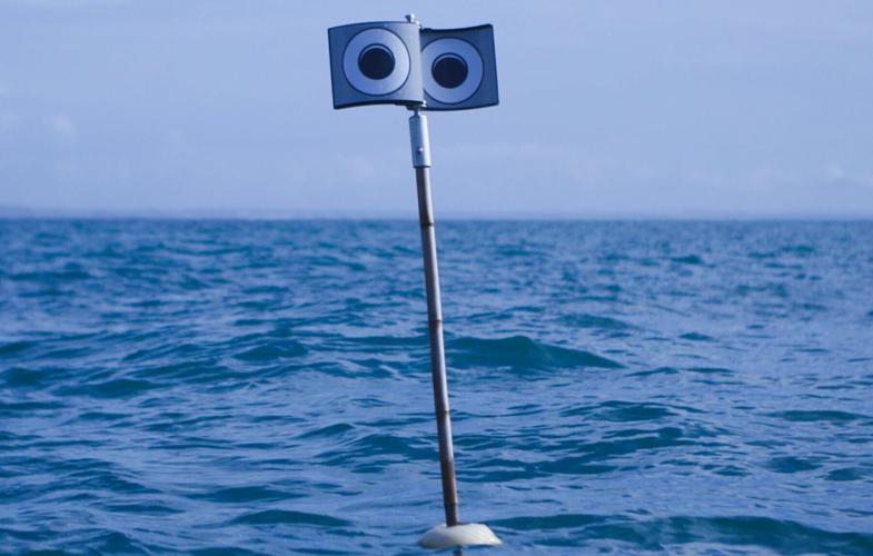 New floating scarecrow will stop thousands of seabirds drowning, scientists says