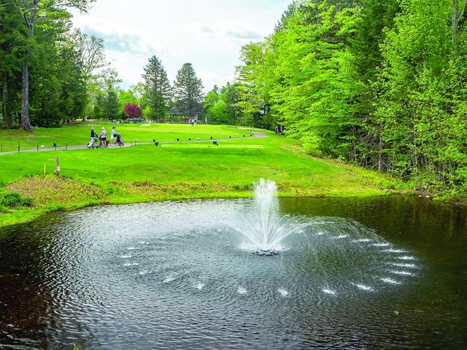 The Golf Column - Hale's Location - ladies league