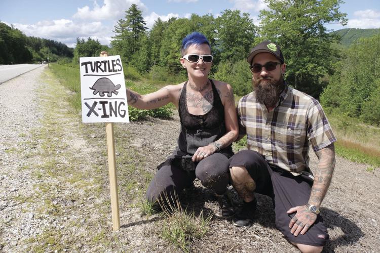 6-8-16 Turtles on North south Road_Emily Smith-Mossman Greg Mossman.jpg