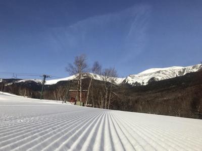 4-6-19 snowwildcat.jpg