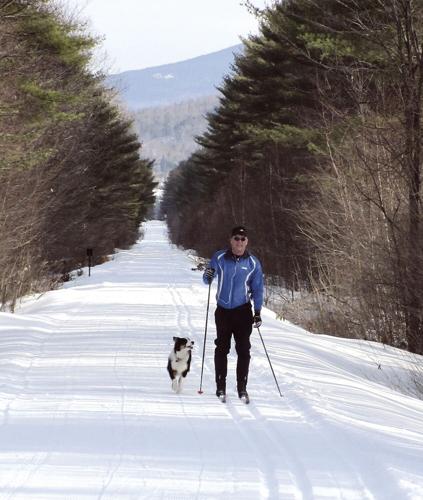Nordic Tracks - Bear Notch Ski Touring Center's dog-friendly trails