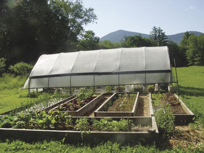 mountain garden