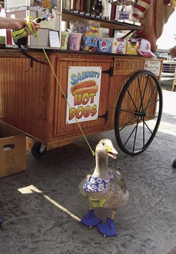 Gabby Goose hotdog stand