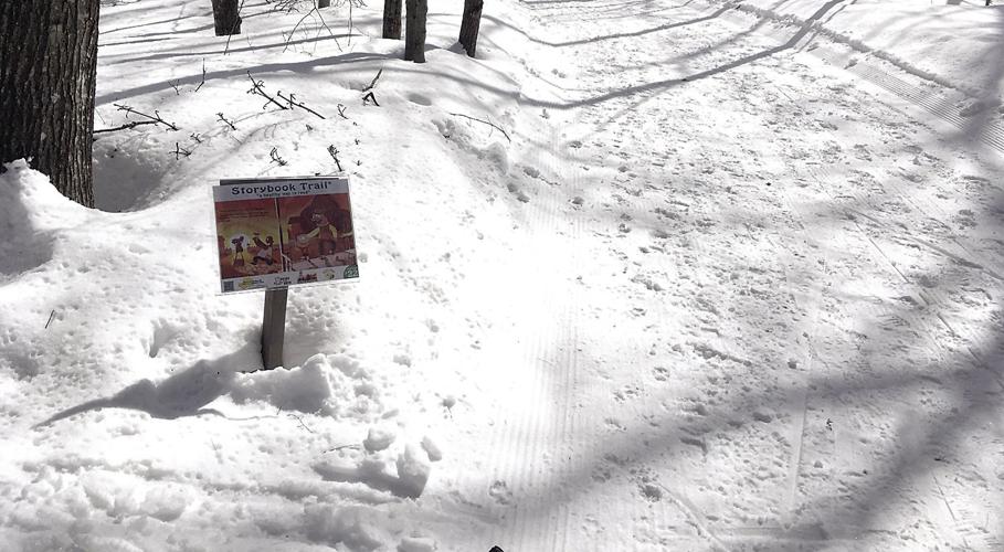 Nordic Track — March 8