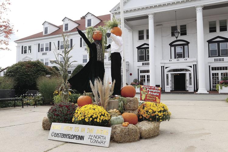 10-05-21 Pumpkins eastern slope inn wide 2