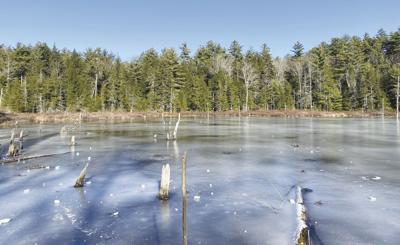 Notes from a Naturalist-Chase Pond