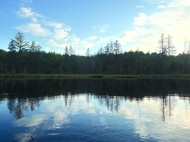 Angler- Beaver Pond