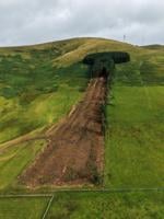 Work has begun to remove a historic woodland affectionally known as “penis wood” – despite thousands of protestors.