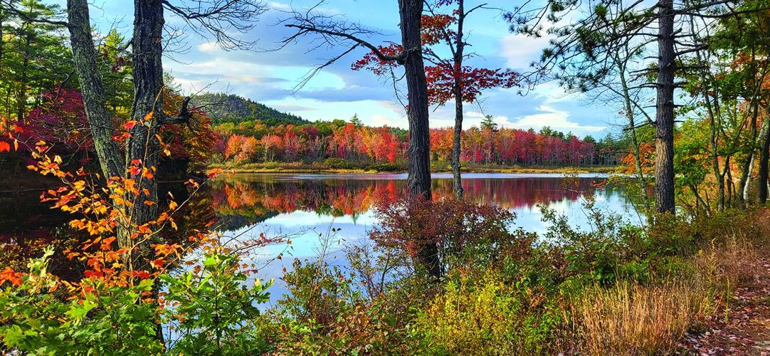Foliage - Runner-up - Upper Pewquaket Pond