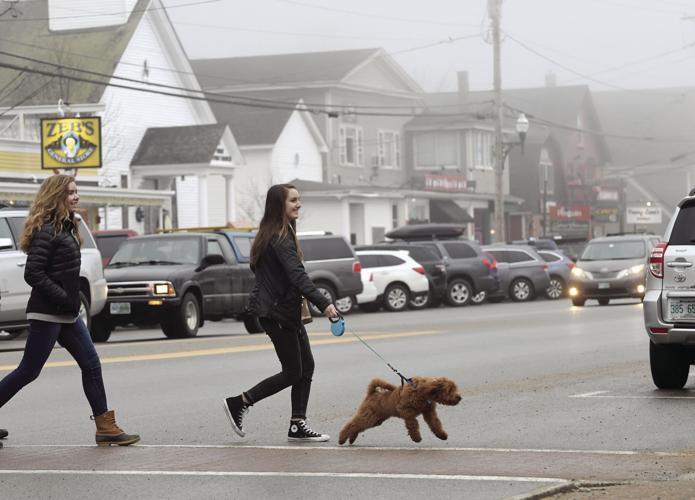 3-3-17 Golden Doodle Dance.jpg