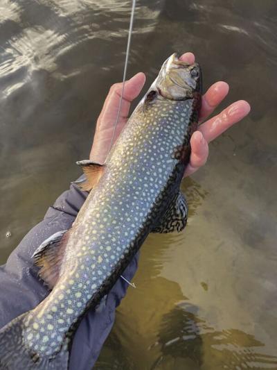 fish column pic.jpg
