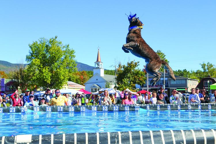 09-20-25 Bark in Park diving side wider