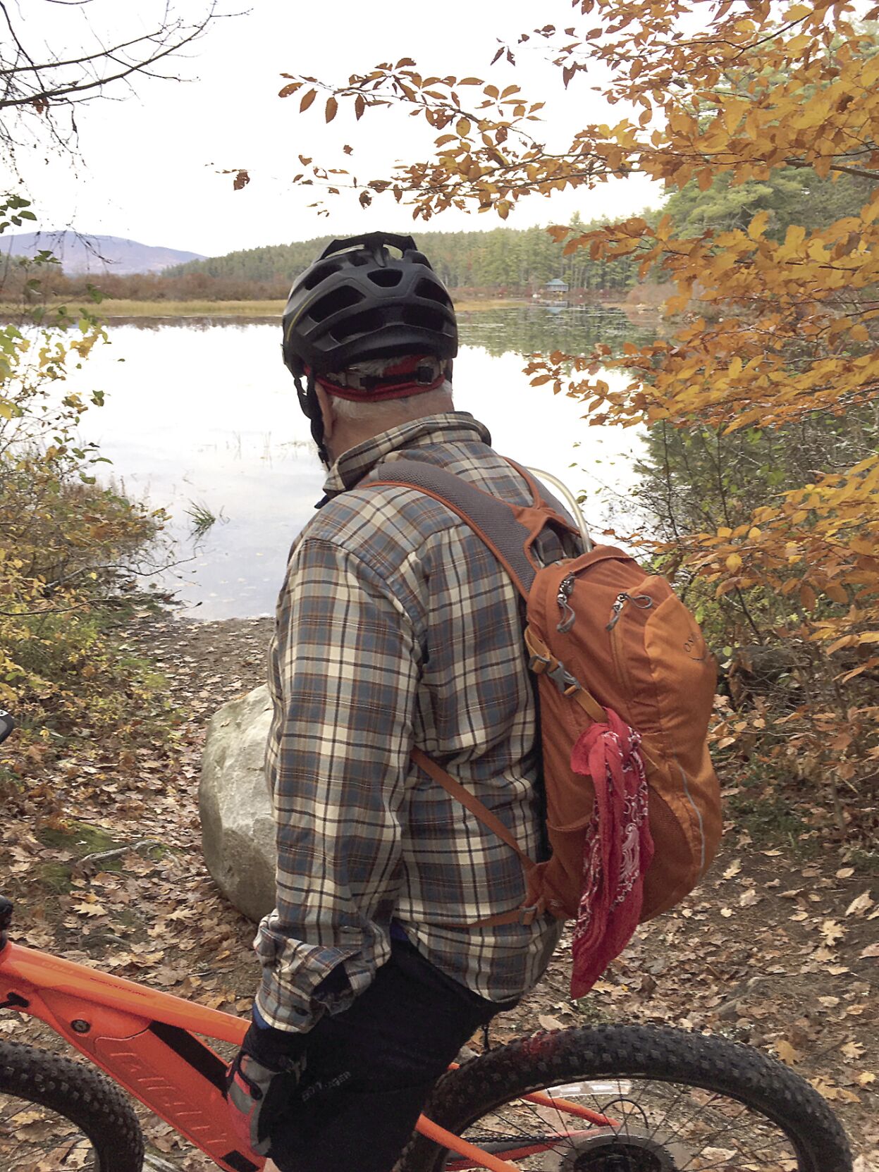 Wheel Family Fun - Potter Road foliage