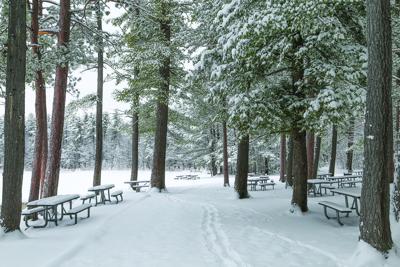 12-24-25 Snow trail through benches horizontal