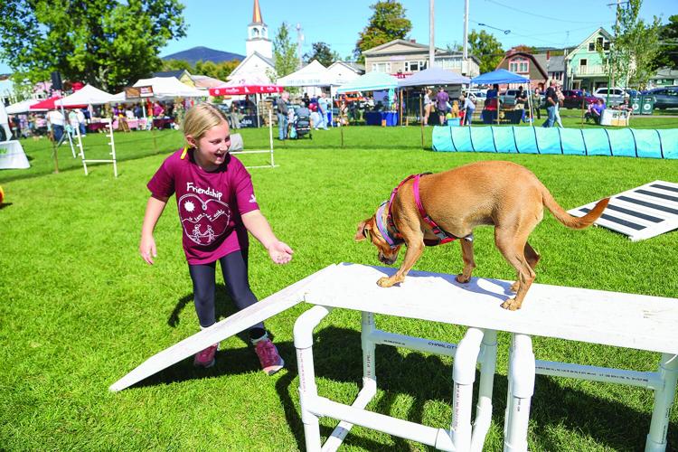 09-19-26 Bark in the Park obstacle ramp 2