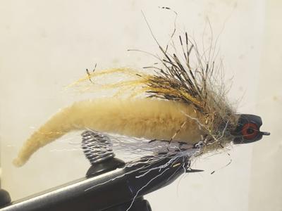 2-29-2020 Steve Angers-Iron Fly Competition