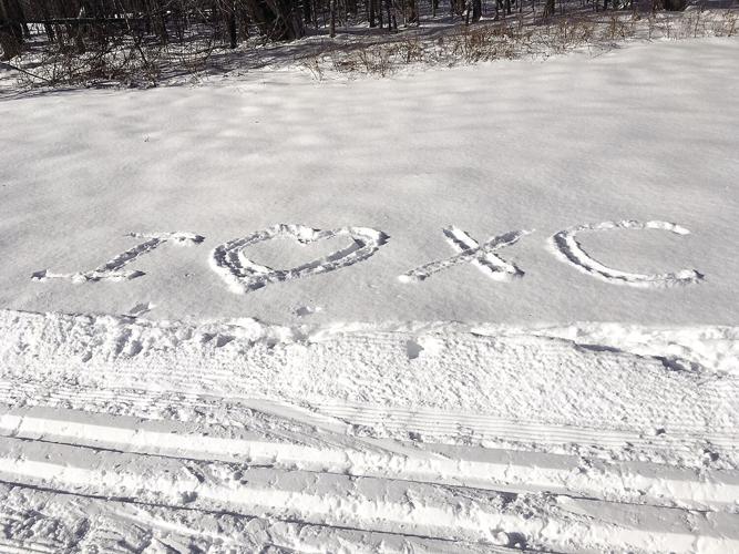 Nordic Tracks - love of cross-country skiing