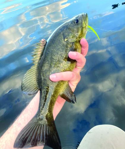 North Country Angling - bass tournaments