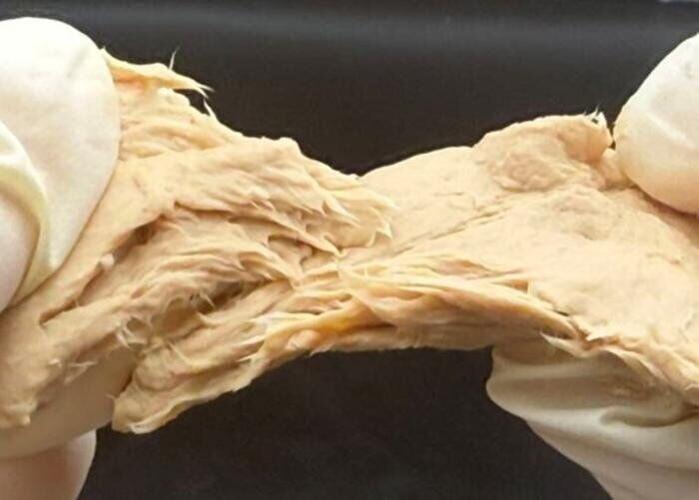 Frankenstein fungi that tastes similar to meat and is easy to digest created