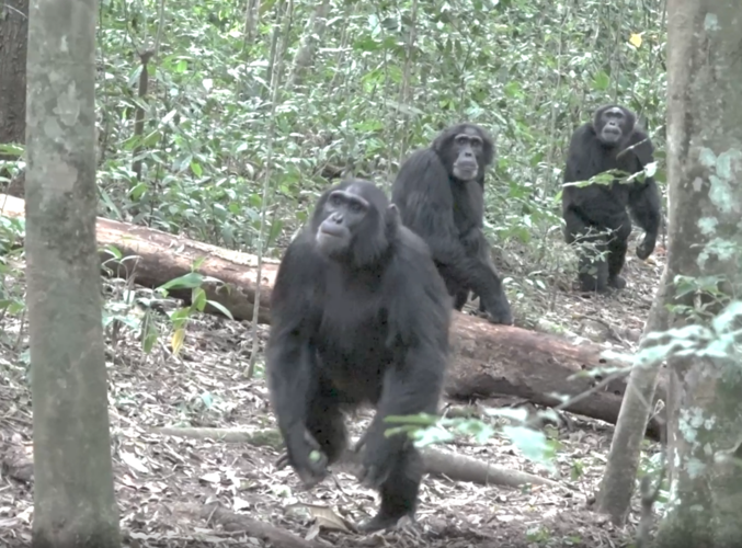 Screenshot 2026-04-09 at 10.39.46 AM