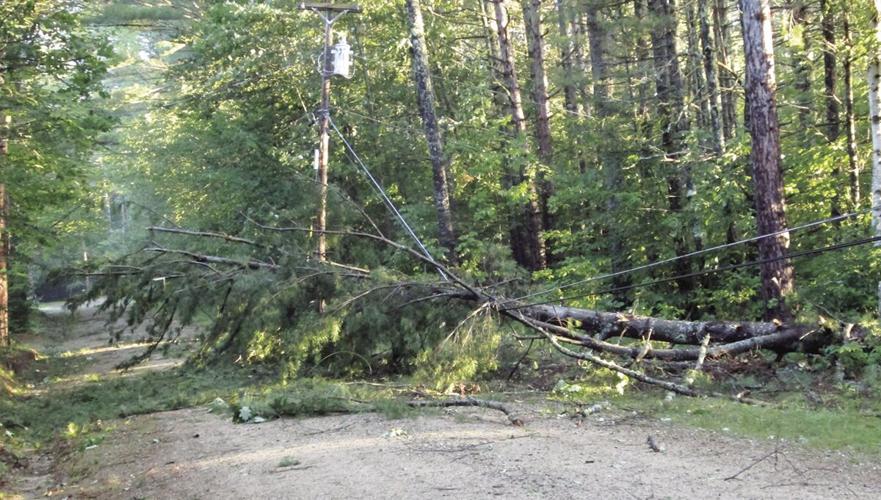 Tropical Storm Isaias - Mount Surprise Road