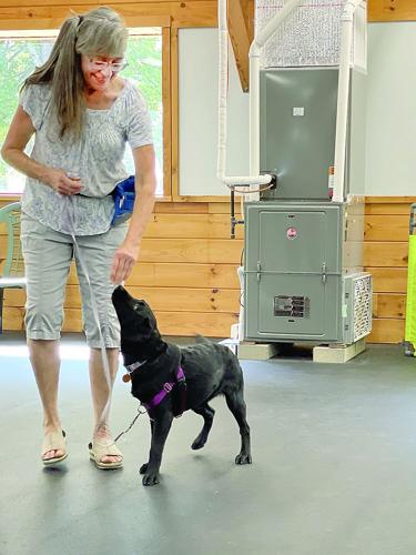 Meet the Trainers - Mallory Hattie