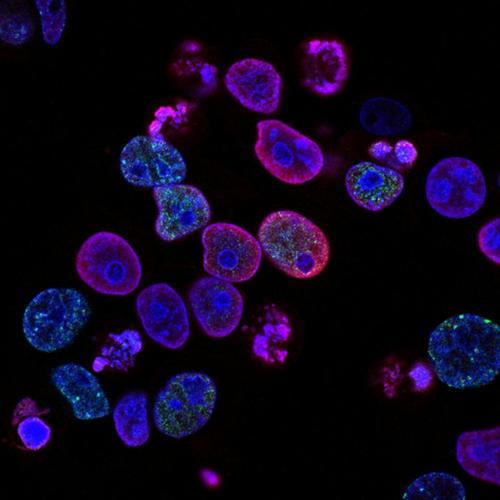 national-cancer-institute-L7en7Lb-Ovc-unsplash (3)