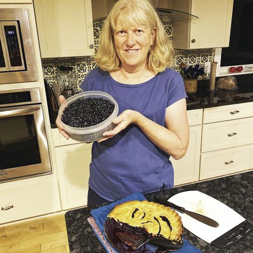 Wheel Family Fun - Laurel Smith