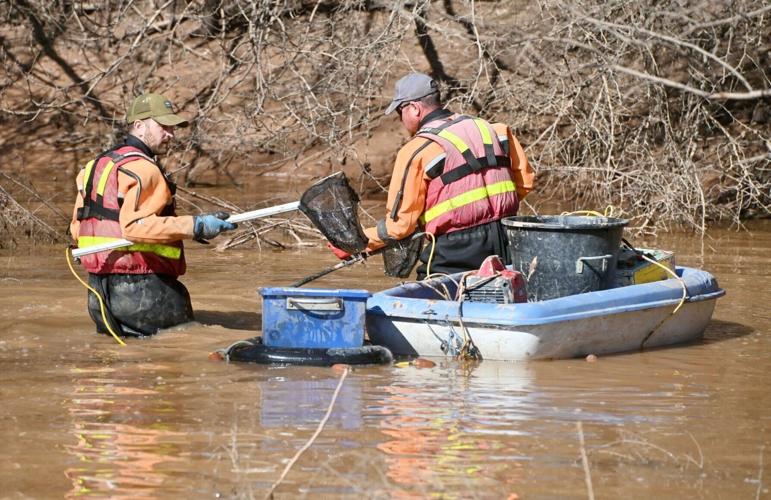 Hundreds of fish rescued three months after dramatic breach of Whitchurch canal