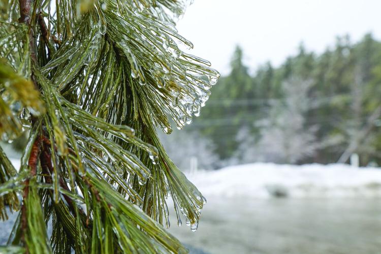 01-03-25 Icy Weather needles tightest