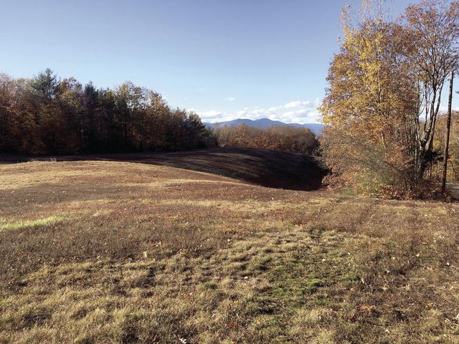 Wheel Family Fun - Greeley Road's steep pitches