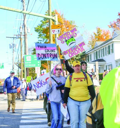 10-18-25 No Kings crossing st vertical