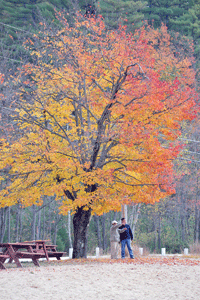 Autumn hits its peak