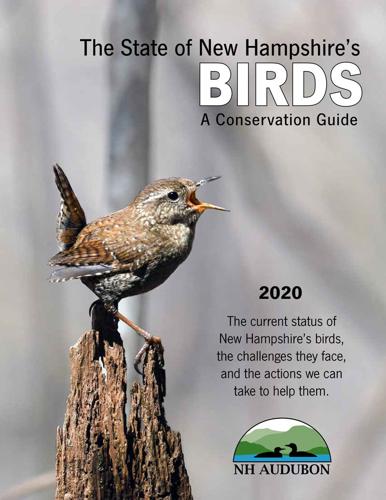NH Audubon releases new report on the State of the Birds